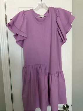 Ruffle Sleeve Dress